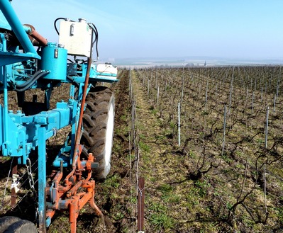 labour de printemps - soft ploughing in the vineayrds - champagne